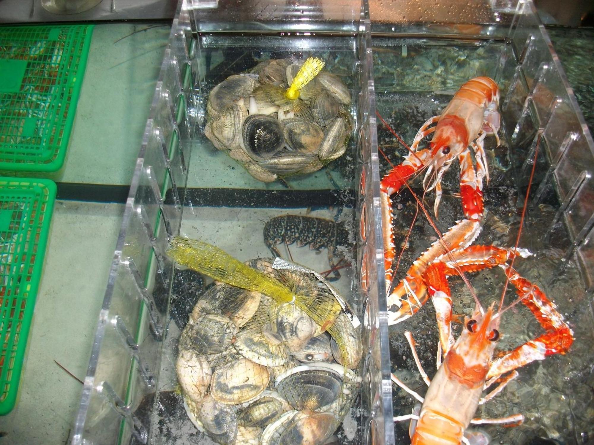 卡斯特亚诺斯卡萨德拉布兰萨利亚酒店 阿内罗 外观 照片